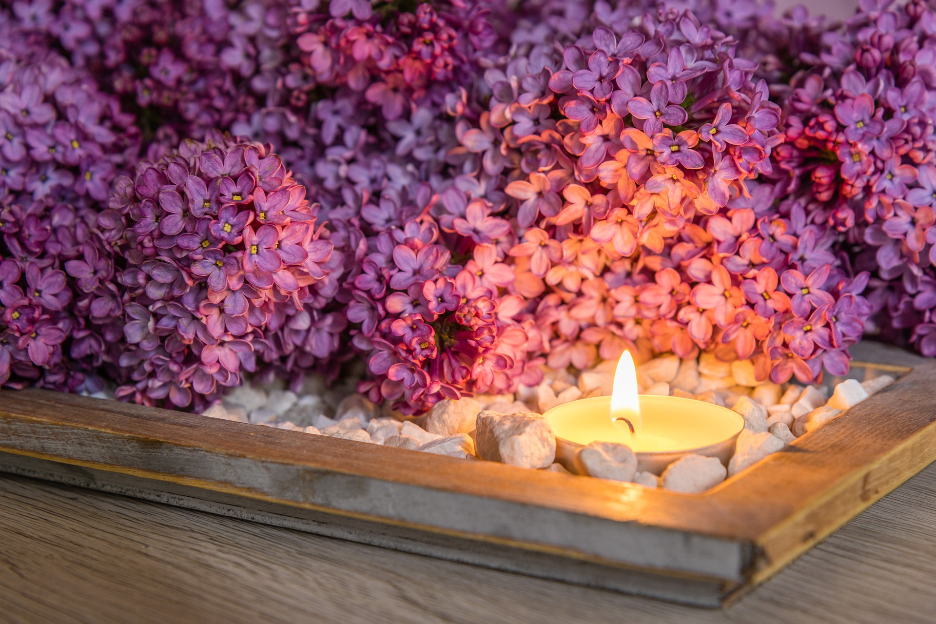 Intentional Living Feng Shui Purple Flowers with candles and rocks